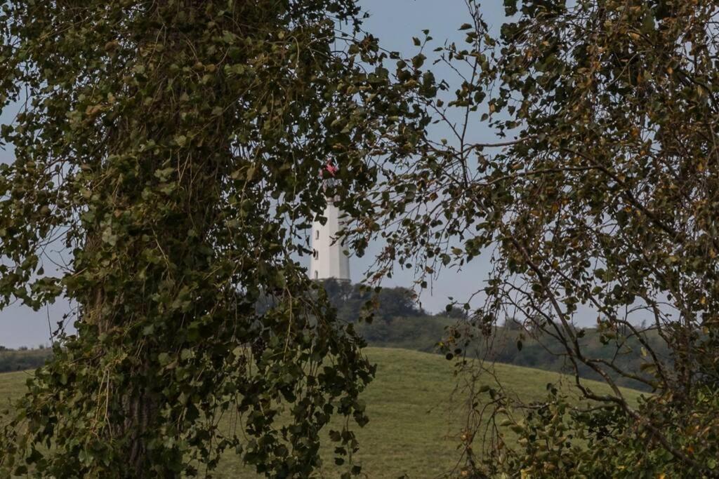 Leuchtturmblick - Ferienwohnung Fuer Die Familie In Grieben Insel Hiddensee Dış mekan fotoğraf